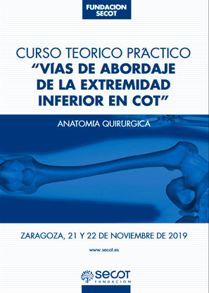 CURSO COT PUNTOS CLAVE LO ESENCIAL Y LO ÚLTIMO 6ª EDICIÓN