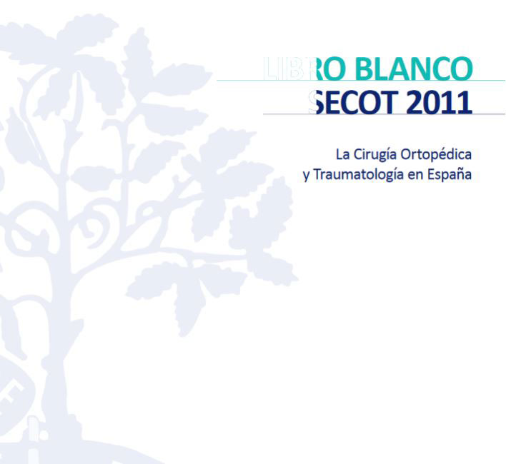 Libro Blanco de la SECOT 2006