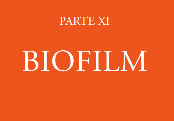 Parte XI. Biofilm