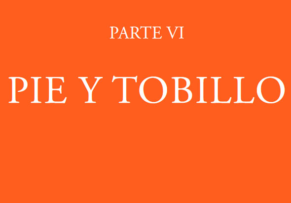 Parte VI. Pie y Tobillo